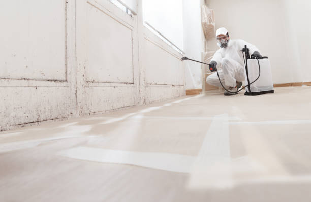 24/7 Emergency Mold Remediation experts in Bellevue, PA
